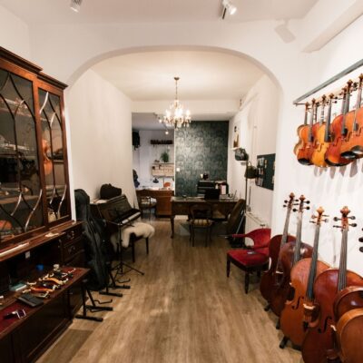 Haagsche Viool en Cello viool viool winkel denneweg den haag (3)